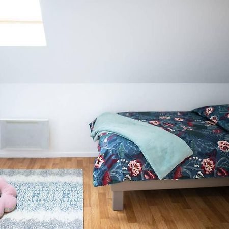 Duplex Tout Equipe, Proche Centre-Ville Colmar, Parking Экстерьер фото