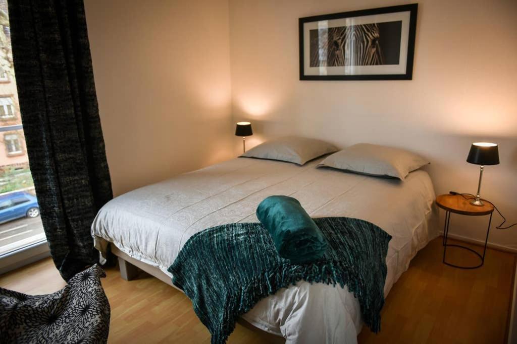 Duplex Tout Equipe, Proche Centre-Ville Colmar, Parking Экстерьер фото